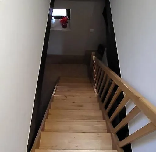 Daire Dependance Entiere Agreable 60m2